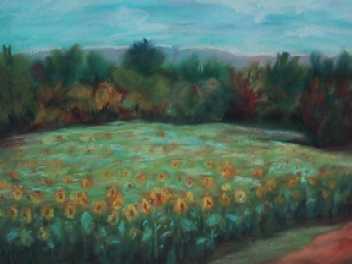 117 SONNENBLUMENFELD - HEDWIG GIERER - Pastell auf Pastellpapier